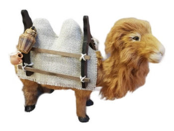 Kamel 2-höckrig 37 cm hoch - mit Sattel, Satteldecke und Trense